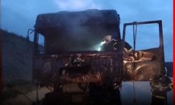 Kastamonu'da seyir halindeki tır alev aldı