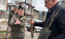 Kastamonu'da vatandaşlara binlerce fidan dağıtıldı