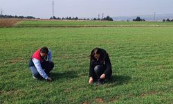 Kastamonu'daki üretim alanlarında saha incelemesi yapıldı