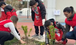 Kastamonulu başkan: Gelecek nesillere yeşil bir şehir bırakmalıyız!