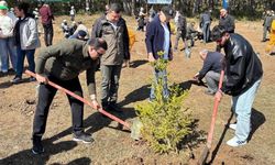 Kastamonu’nun ilçesinde 200 fidan toprakla buluştu
