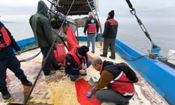 Kastamonu'nun ilçesinde balıkçı tekneleri denetlendi