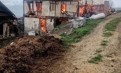 Köyde çıkan yangında 2 katlı ahşap ev küle döndü