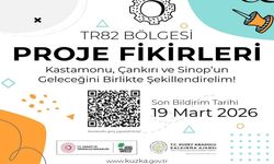 Kastamonu'da kurumlardan fikir bekleniyor