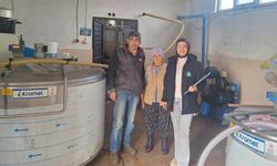 Sütte hijyen alarmı: Kastamonu’da denetimler hız kesmiyor