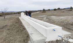 Taşköprü’de sahaya inildi: Uzmanlar tek tek inceledi