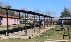 Taşköprü’de Hayvan Pazarına konfor sağlayan dokunuş