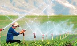 Taşköprü’de iş fırsatı: Sulama Birliği personel alacak