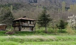 Kastamonu’da arazi sahiplerinin kafası karışık!