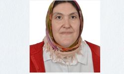 Hanönü'de acı olay: Yalnız yaşayan kadın öldü!