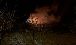 Alevler bir evi dakikalar içinde yuttu: Geriye kül kaldı