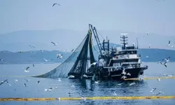 Balıkçılıkta kritik takvim: Denizlerde yasak başlıyor