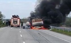 Alevler yükseldi: Tomruk yüklü kamyon alev alev yandı