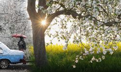 Kastamonu’da bahar bitti kış geliyor: Sıcaklık 11 derece düşecek!