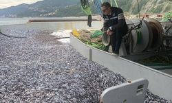 Çatalzeytin’de 2025-2026 Av Sezonu Sona Erdi