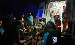 Mantar toplarken uçurumdan düştü: 5 saatlik zorlu operasyon