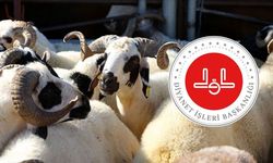 Diyanet duyurdu: 2026 vekaletle kurban bedelleri belli oldu