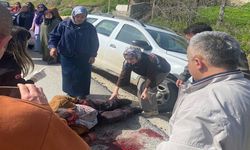 Feci kaza: Karşıya geçmek isteyen yayanın durumu kritik!