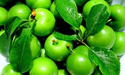 Taşköprü’de erik fiyatları uçtu