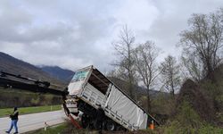 Feci kaza! Tır devrildi: 3 kişi yaralandı, 6 hayvan telef oldu!