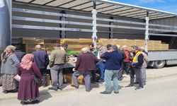 Kastamonu'da çiftçilere büyük destek: 147 bin fide dağıtıldı