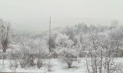 Taşköprü’nün yüksek kesimleri kara büründü