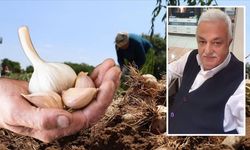 Taşköprü sarımsağı için çağrı: Hayati Hamzaoğlu’ndan dikkat çeken mesaj