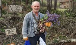 Kastamonu’da sofraların en lezzetli çiçeği: Hodan pazarda yerini aldı