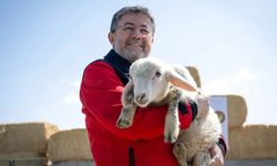 Kastamonulu Bakandan veterinerlere kutlama