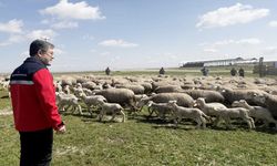 Kastamonulu Bakan 'en iyi ırk oluşturulacak' dedi