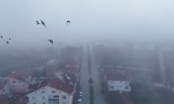 Kastamonu'da yoğun sis etkili oldu: Görüş mesafesi 30 metreye kadar düştü