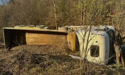 Kamyon devrildi: Sürücü yaralandı