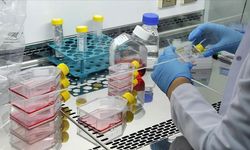 Kanser tedavisinde umut veren gelişme: Türkiye’nin ilk özgün ilaç adayında Faz-1 tamamlandı