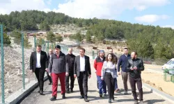 Kastamonu Belediye Başkanı Baltacı: 'Can dostlarımız için çalışmaya devam edeceğiz'