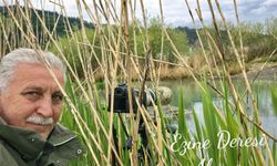 Kastamonu'da kuş fotoğraf sergisi açılıyor