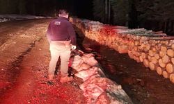 Kastamonu'da dikkat çeken mesaj: 'Kontroller rutin, uygulama saati ve günü gizli'