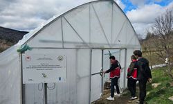 Kastamonu’da seralarda kapsamlı inceleme