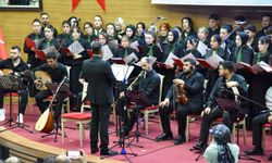 Kastamonu Üniversitesi öğrencilerinin hazırladığı konser beğeni topladı