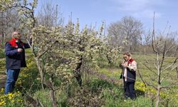 Kastamonu'da bahçelerde don kontrolü yapıldı