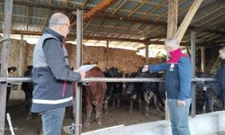 Kastamonu’da hayvancılığa güçlü destek: 823 bin doz aşı, 209 milyon TL ödeme