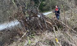 Kastamonu'da ormanlık alanda çıkan yangın korkuttu