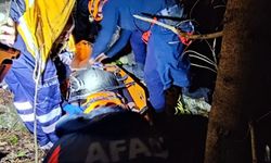 Kastamonu'da uçurumdan düşen genç için ekipler seferber oldu