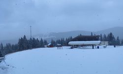 Kastamonu'nun yüksek kesimlerinde kar etkisini gösteriyor