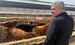 Kastamonu Tarım ve Orman Müdürü Kırşehir’de