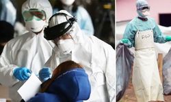 Dünya bu yeni salgını konuşuyor: Bu seferki adı 'ağustos böceği'