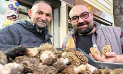 Taşköprü’de görülme sıklığı arttı: Kilosu 700 lira