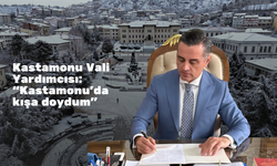 Kastamonu Vali Yardımcısı: “Kastamonu’da kışa doydum”