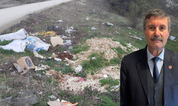 Taşköprü’de yol kenarı çöplüğe döndü