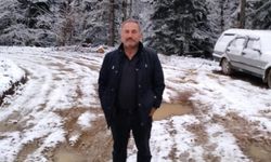 Ormanlık alanda acı olay: Devrilen ağacın altında can verdi