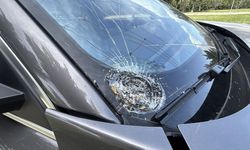 Feci kaza: 87 yaşındaki yaya hayatını kaybetti